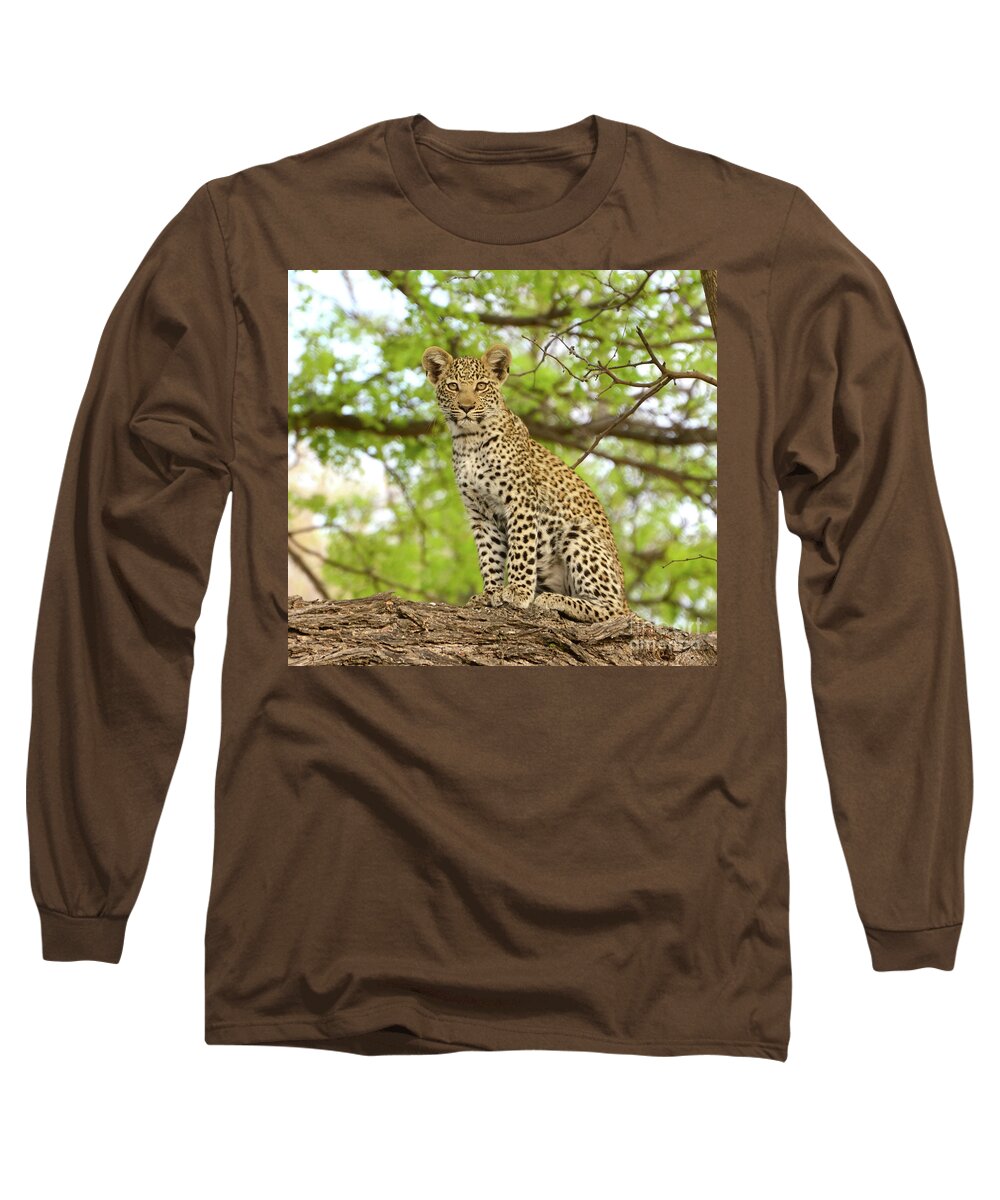 Young Long Sleeve T-Shirt featuring the photograph Leopard Cub Gaze by Tom Wurl