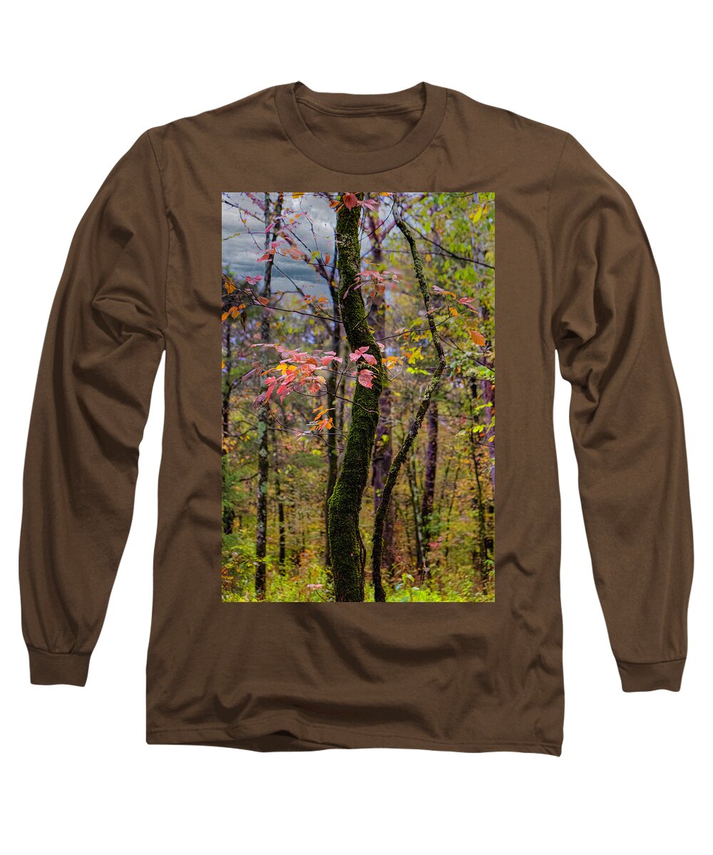 Autumn Long Sleeve T-Shirt featuring the photograph Lovely Fall by Danette Steele