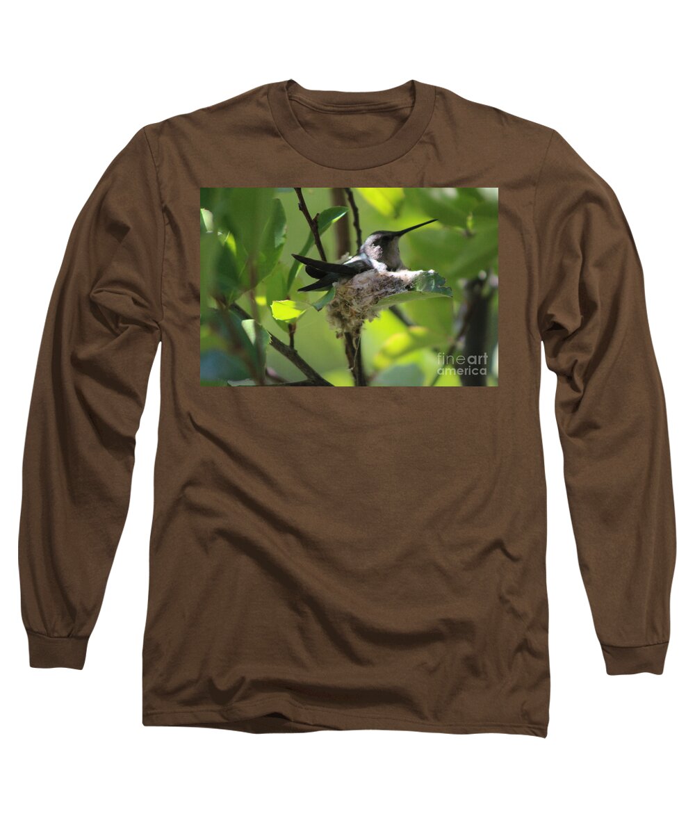 Mamma Long Sleeve T-Shirt featuring the photograph Mamma Hummingbird by Colleen Cornelius