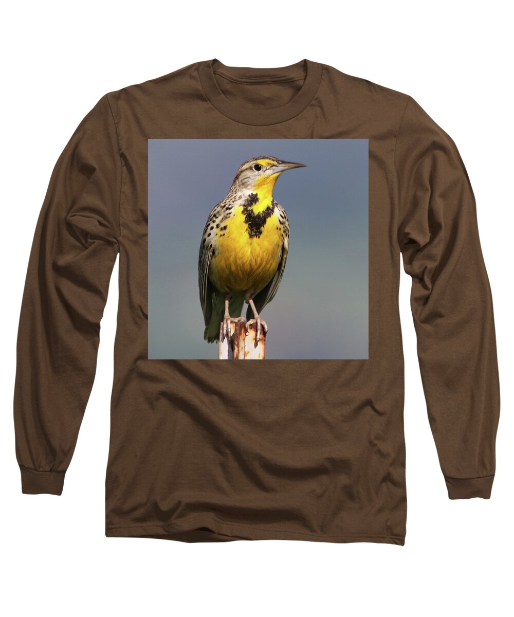 Meadowlark Long Sleeve T-Shirt featuring the photograph Meadowlark by Perry Hoffman