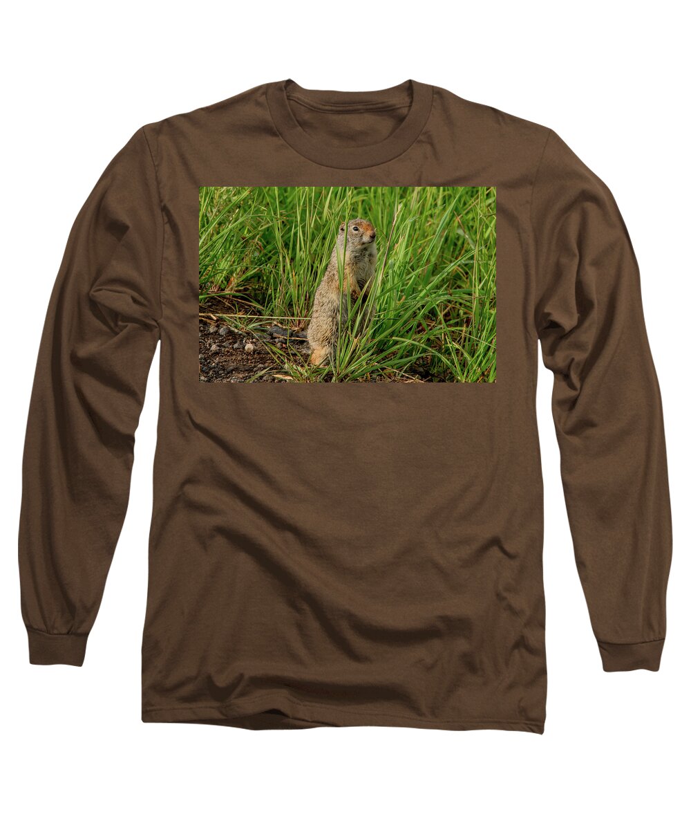 Prairie Dogs Long Sleeve T-Shirt featuring the photograph Montana Prairie Dog by Marcy Wielfaert