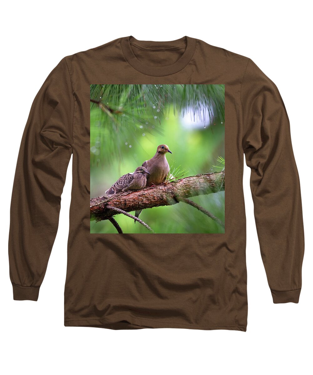 Christmas Dove Long Sleeve T-Shirt featuring the photograph Mourning doves sheltering from the rain by Rehna George
