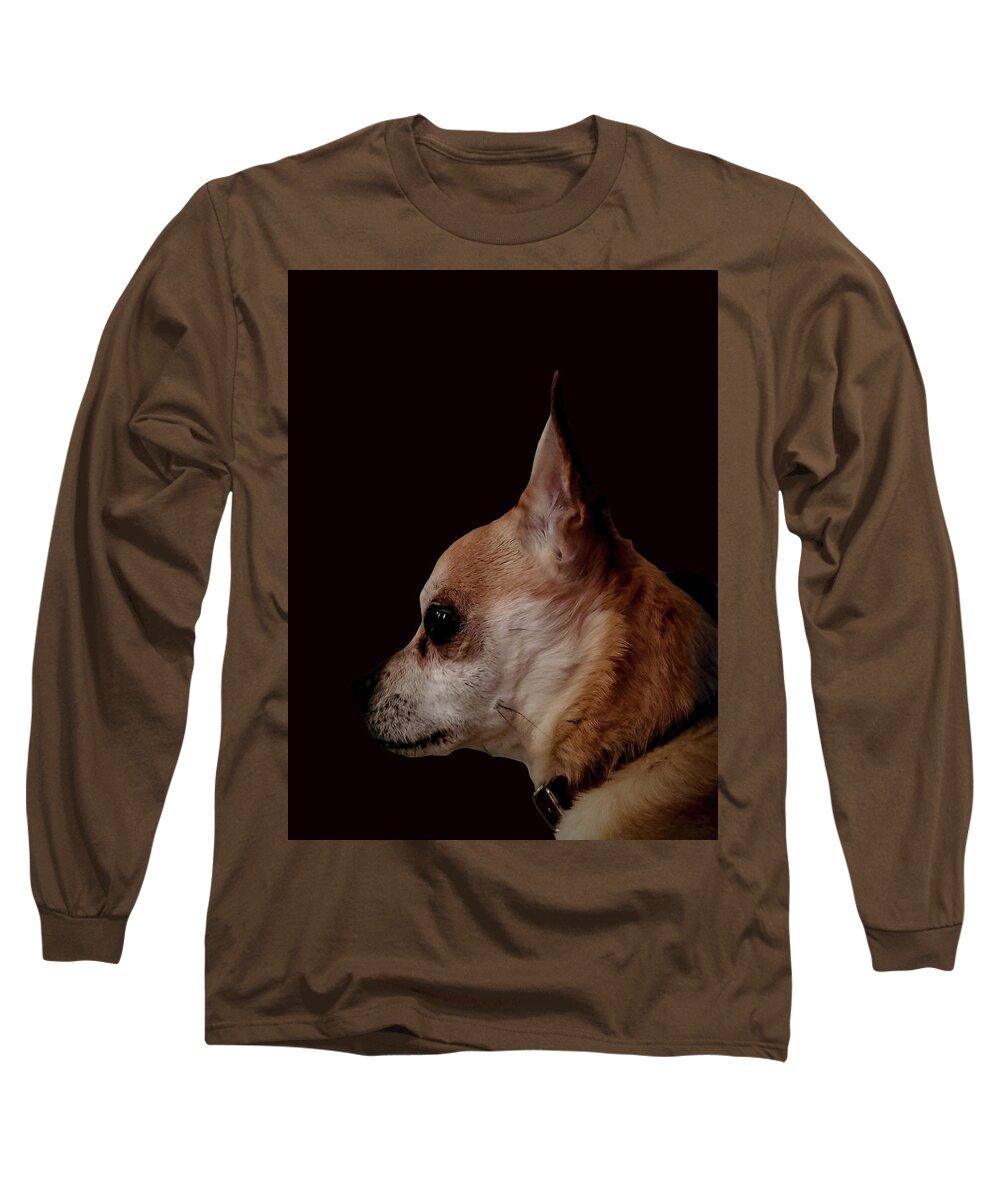 Chihuahua Long Sleeve T-Shirt featuring the photograph Mr Taco by Bruce Carpenter