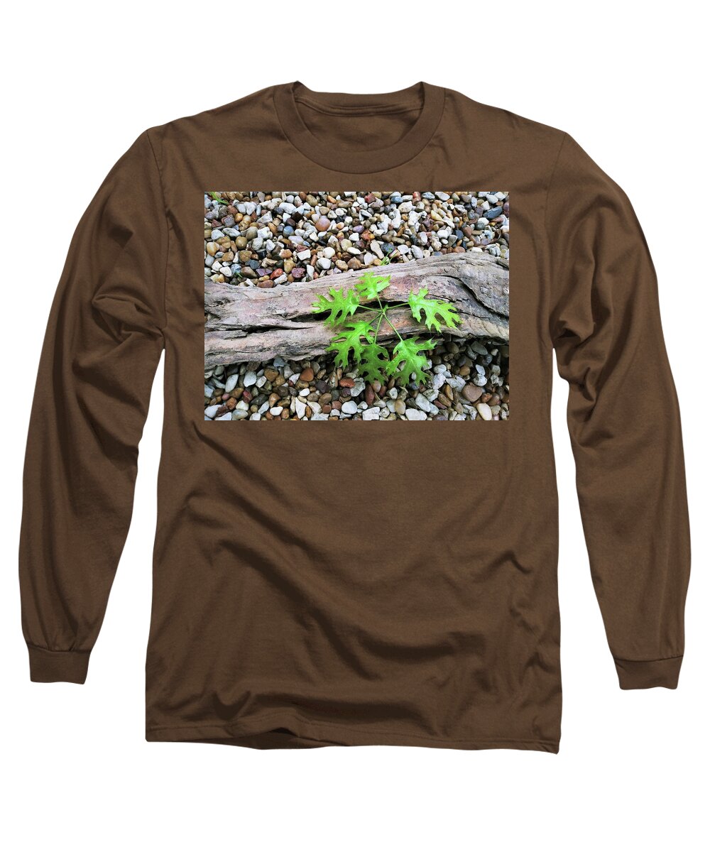 Green Long Sleeve T-Shirt featuring the photograph New Life 6 by C Winslow Shafer