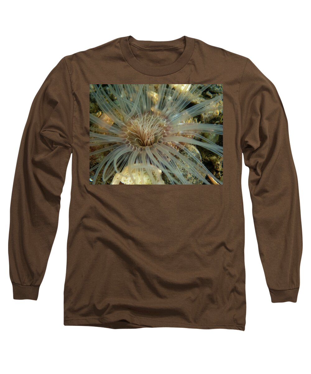 Worm Long Sleeve T-Shirt featuring the photograph Northern Cerianthid by Brian Weber