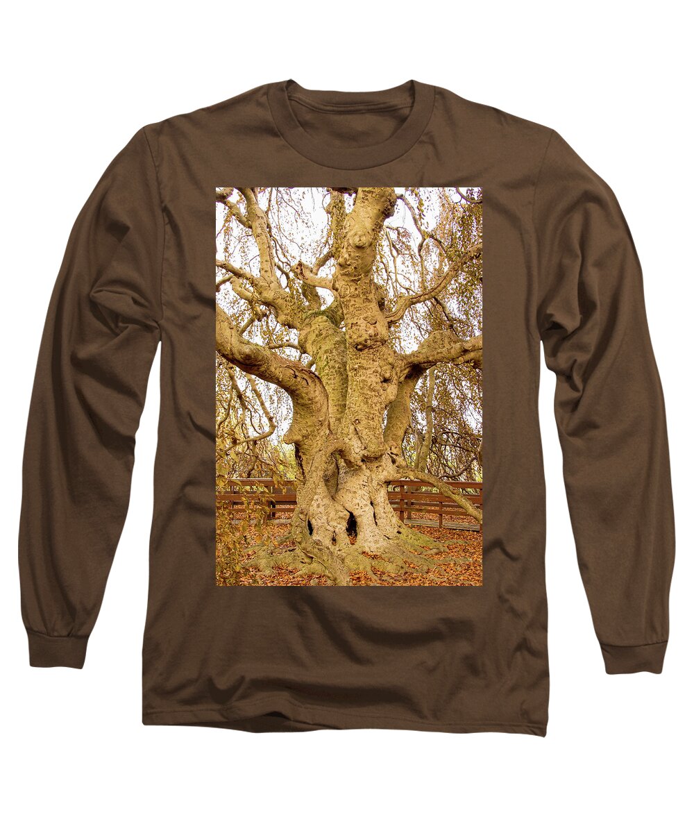 Old Tree Wood Fence Autumn Long Sleeve T-Shirt featuring the photograph Old Tree by John Linnemeyer