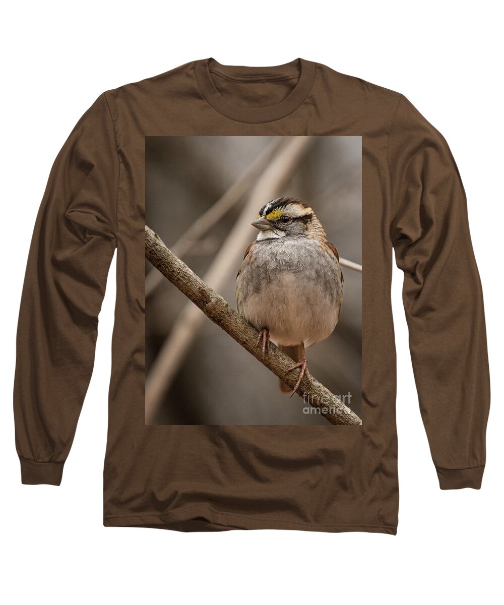 Sparrow Long Sleeve T-Shirt featuring the photograph Perched III by Alyssa Tumale