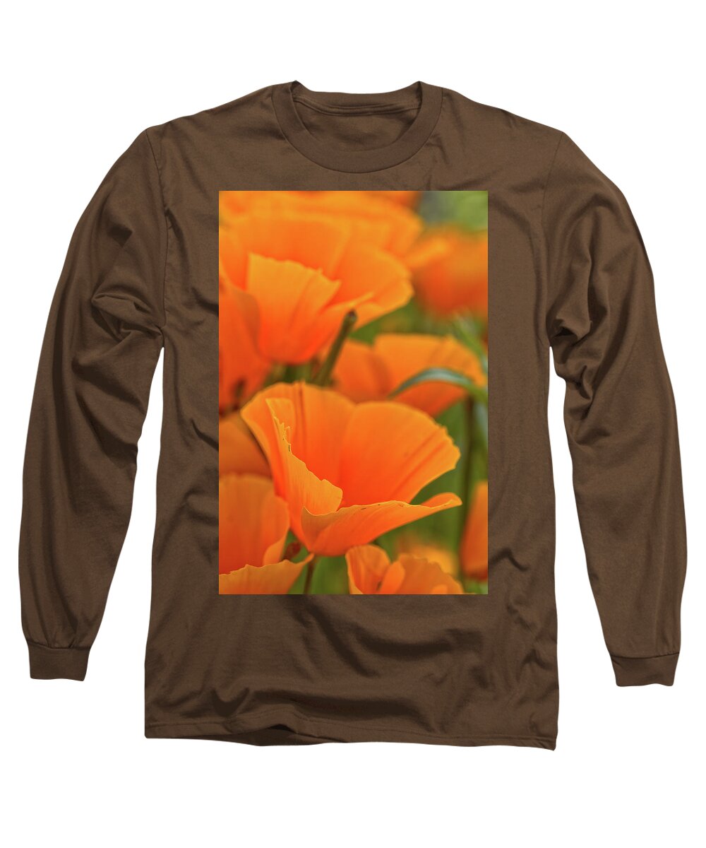 Mexican Poppies Long Sleeve T-Shirt featuring the photograph Poppies by Bob Falcone
