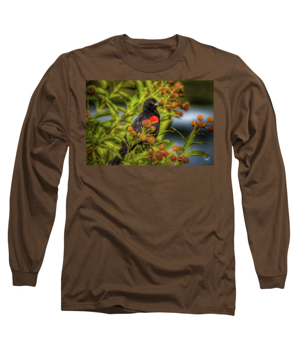 Redwingedblackbird Long Sleeve T-Shirt featuring the photograph Posing Blackbird by Pam Rendall