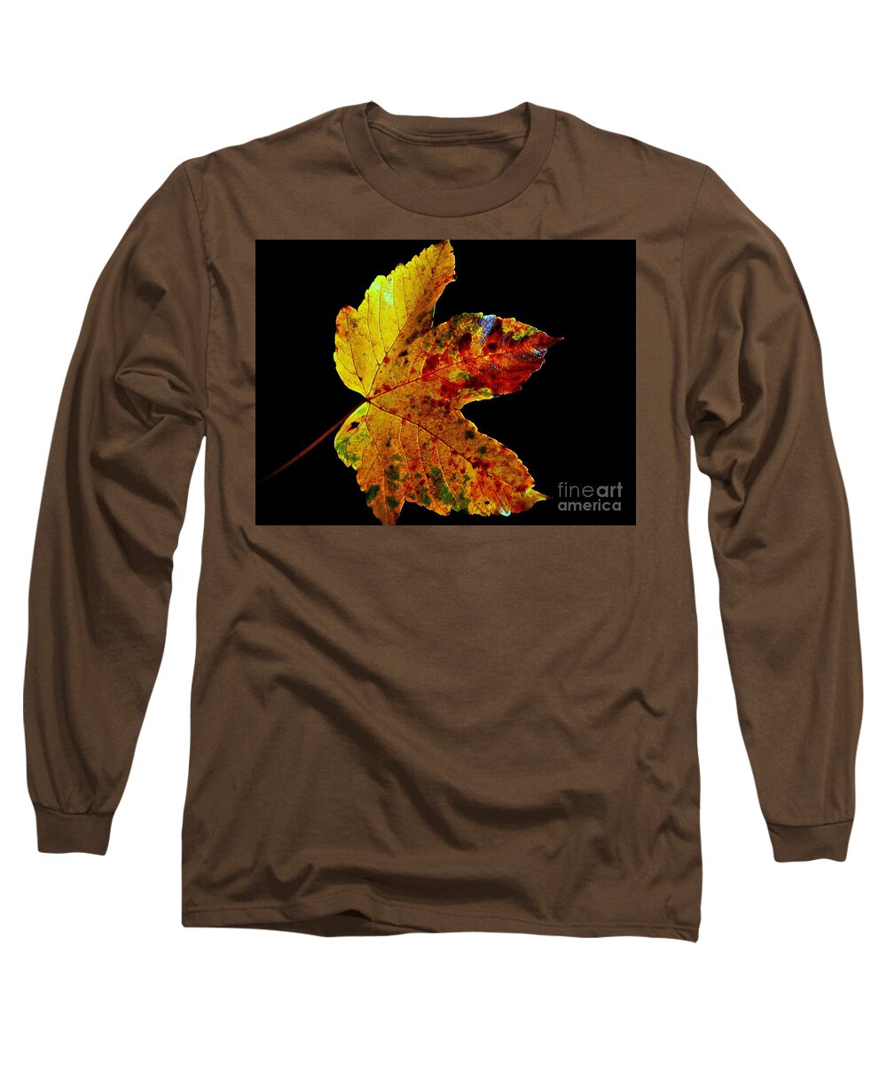 Fall Long Sleeve T-Shirt featuring the photograph Pretty Leave On Black by Claudia Zahnd-Prezioso