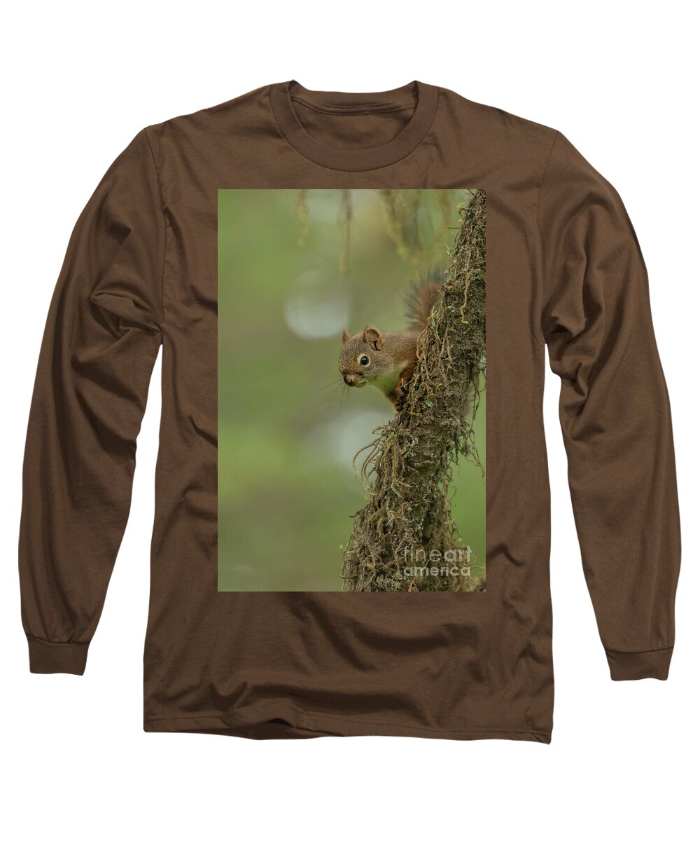 Red Squirrel Long Sleeve T-Shirt featuring the photograph Red Squirrel Peeks out from Mossy Tree by Nancy Gleason