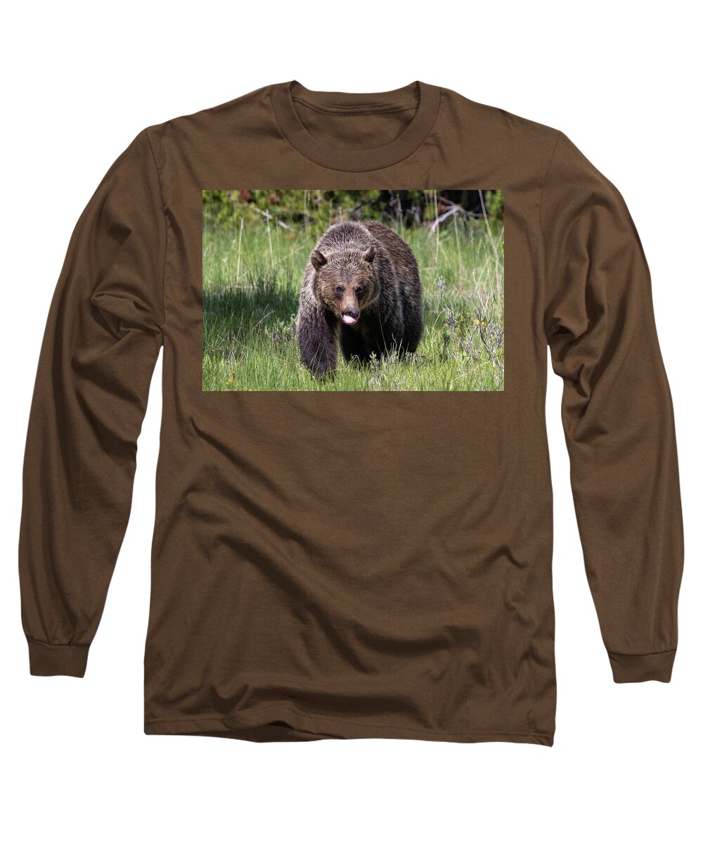 Grizzly Long Sleeve T-Shirt featuring the photograph Snaggletooth by Julie Argyle