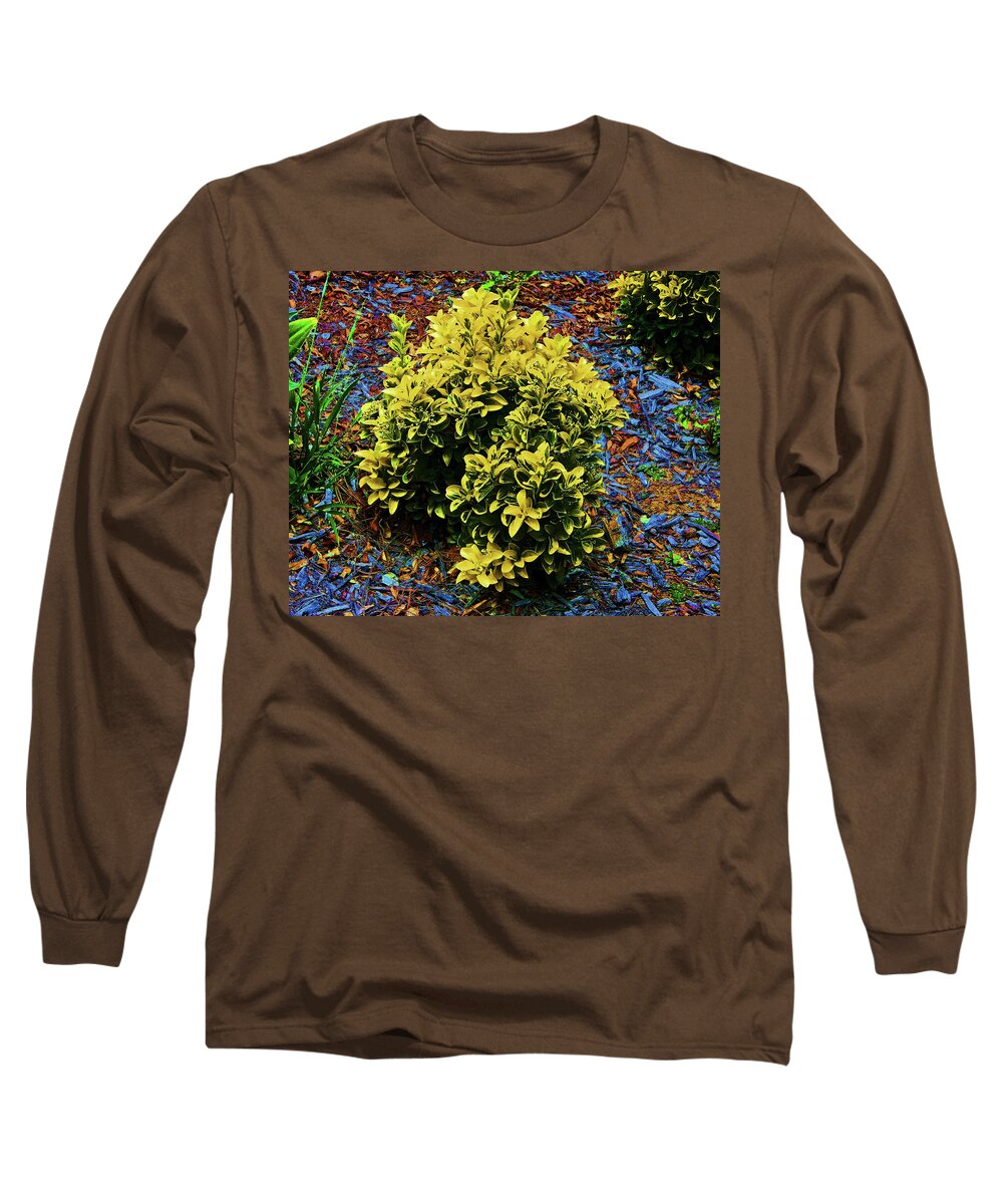 Plant Long Sleeve T-Shirt featuring the photograph Solar Planting by Andrew Lawrence