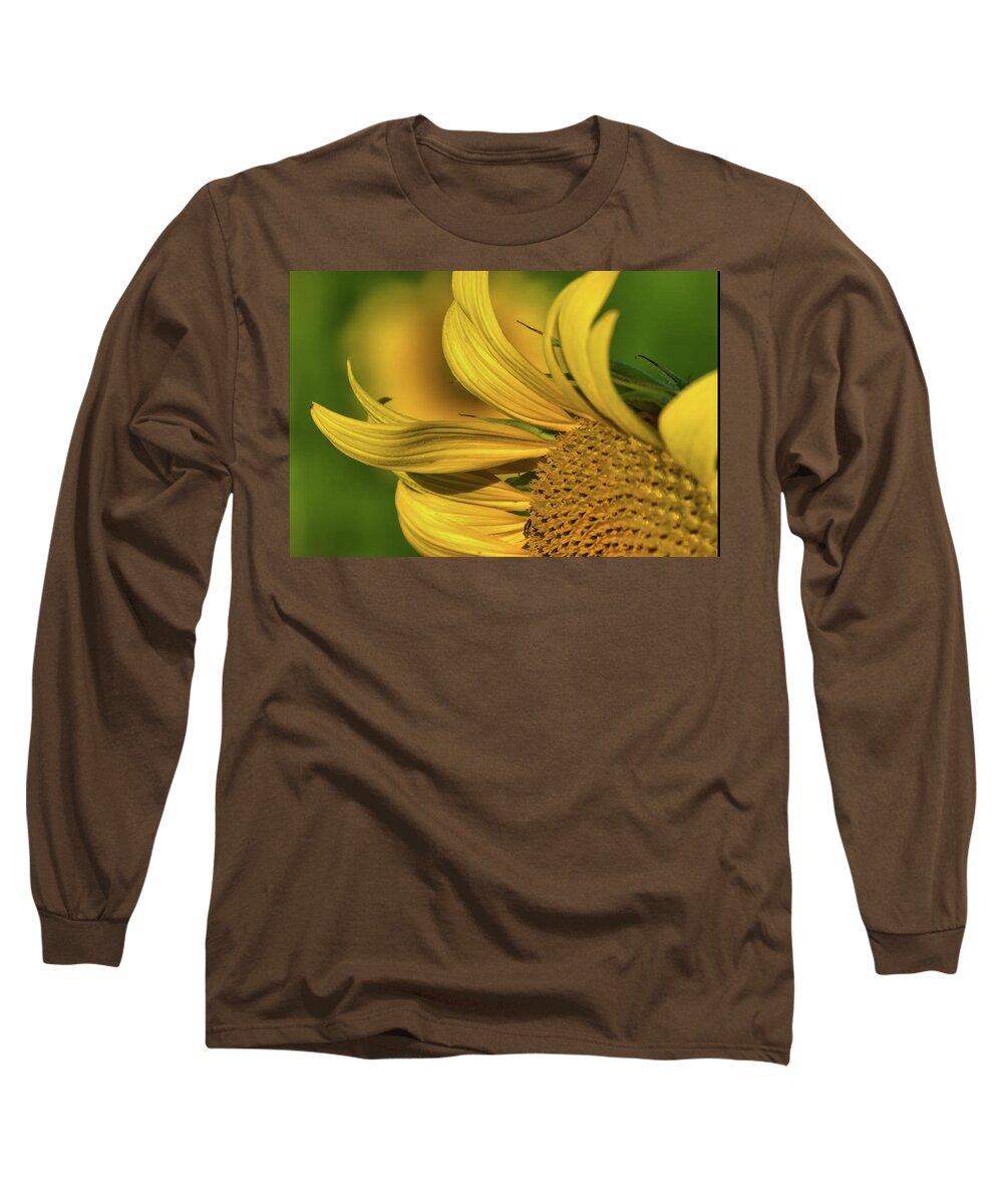 Sunflower Long Sleeve T-Shirt featuring the photograph Sunflower 4 by Buddy Scott