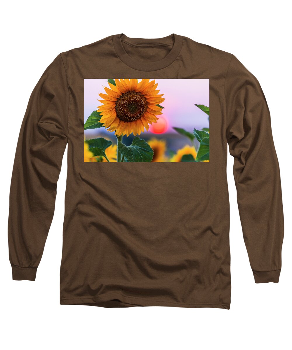 Bulgaria Long Sleeve T-Shirt featuring the photograph Sunflower by Evgeni Dinev