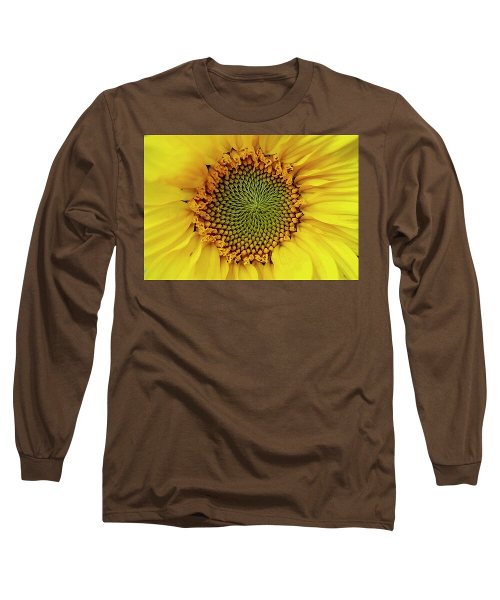 Sunflower Long Sleeve T-Shirt featuring the photograph Sunflower macro by Gareth Parkes