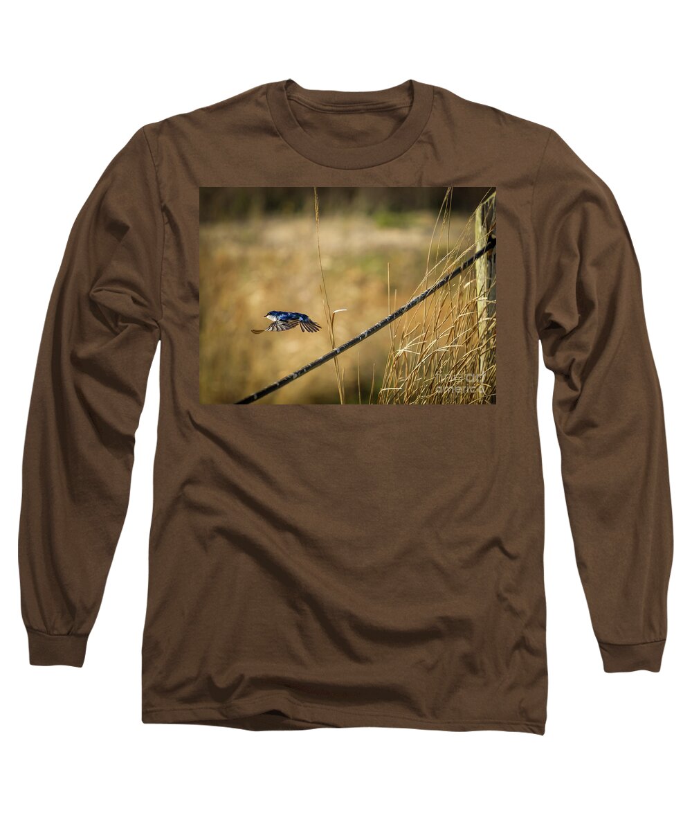 Swallow Long Sleeve T-Shirt featuring the photograph Take-off by Alyssa Tumale