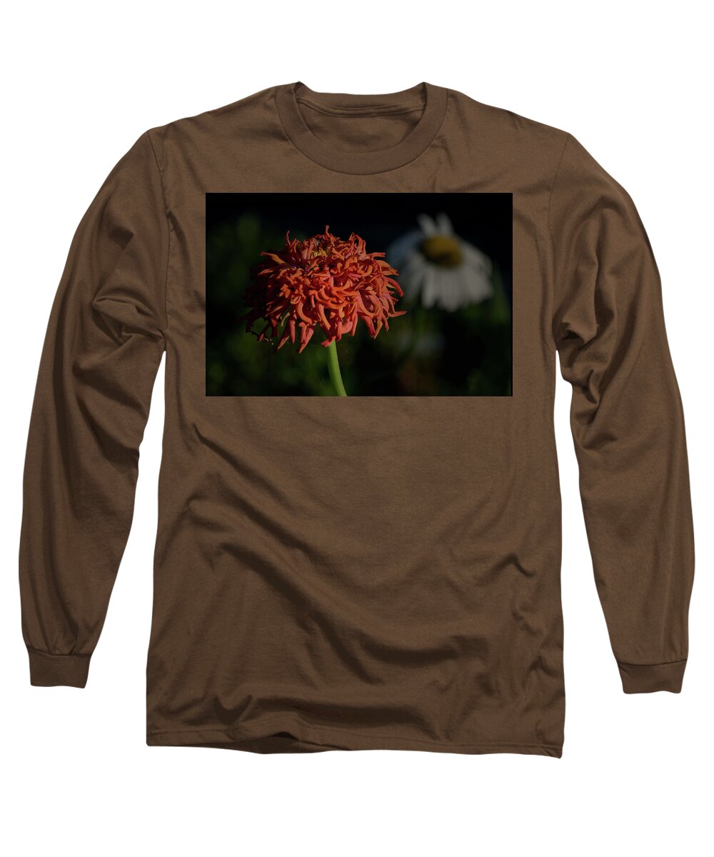 Plants Long Sleeve T-Shirt featuring the photograph Tangled by Buddy Scott