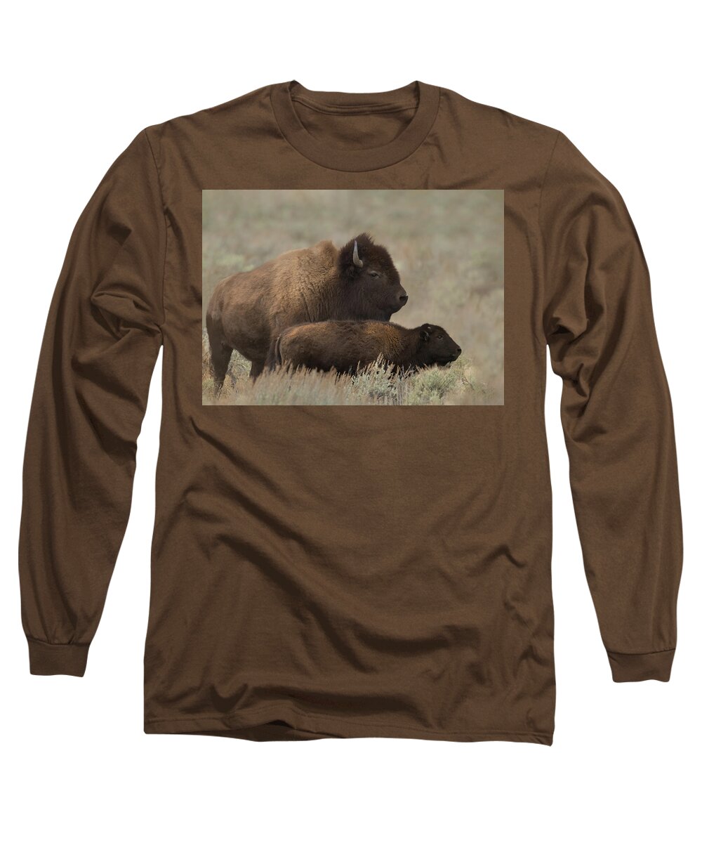 Bison Long Sleeve T-Shirt featuring the photograph They Grow Up So Fast by CR Courson