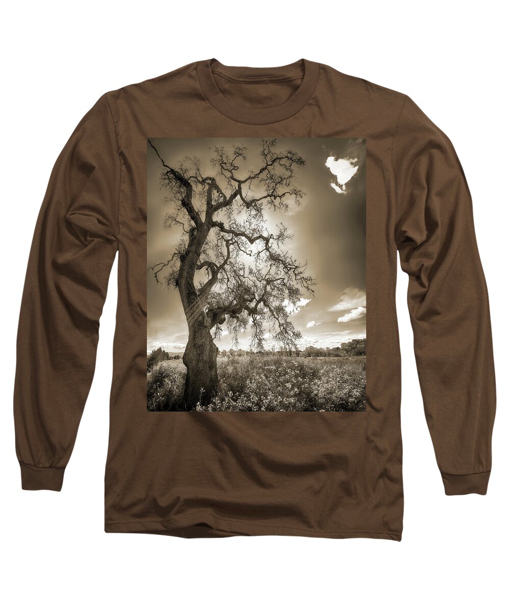 Tree Long Sleeve T-Shirt featuring the photograph TREE AND LIFE, SEPIA, California by Don Schimmel
