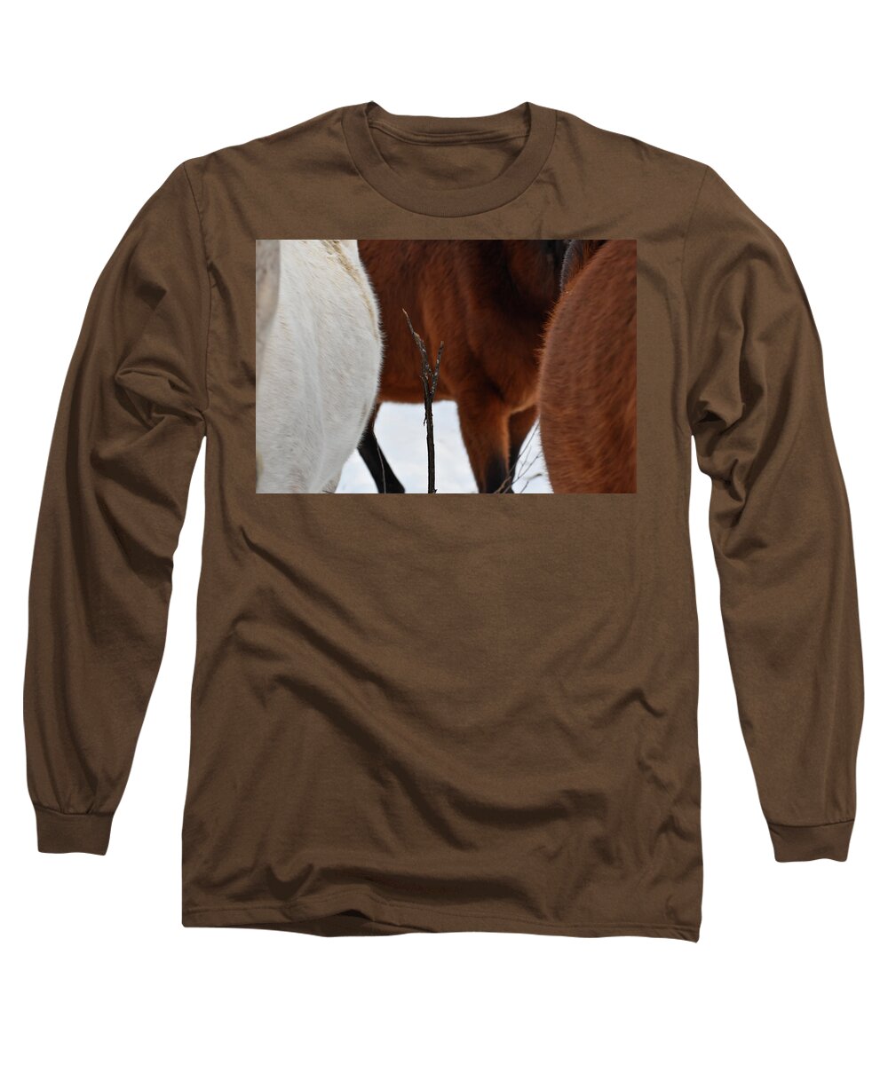 Winter Long Sleeve T-Shirt featuring the photograph Twig Among Steeds by Listen To Your Horse