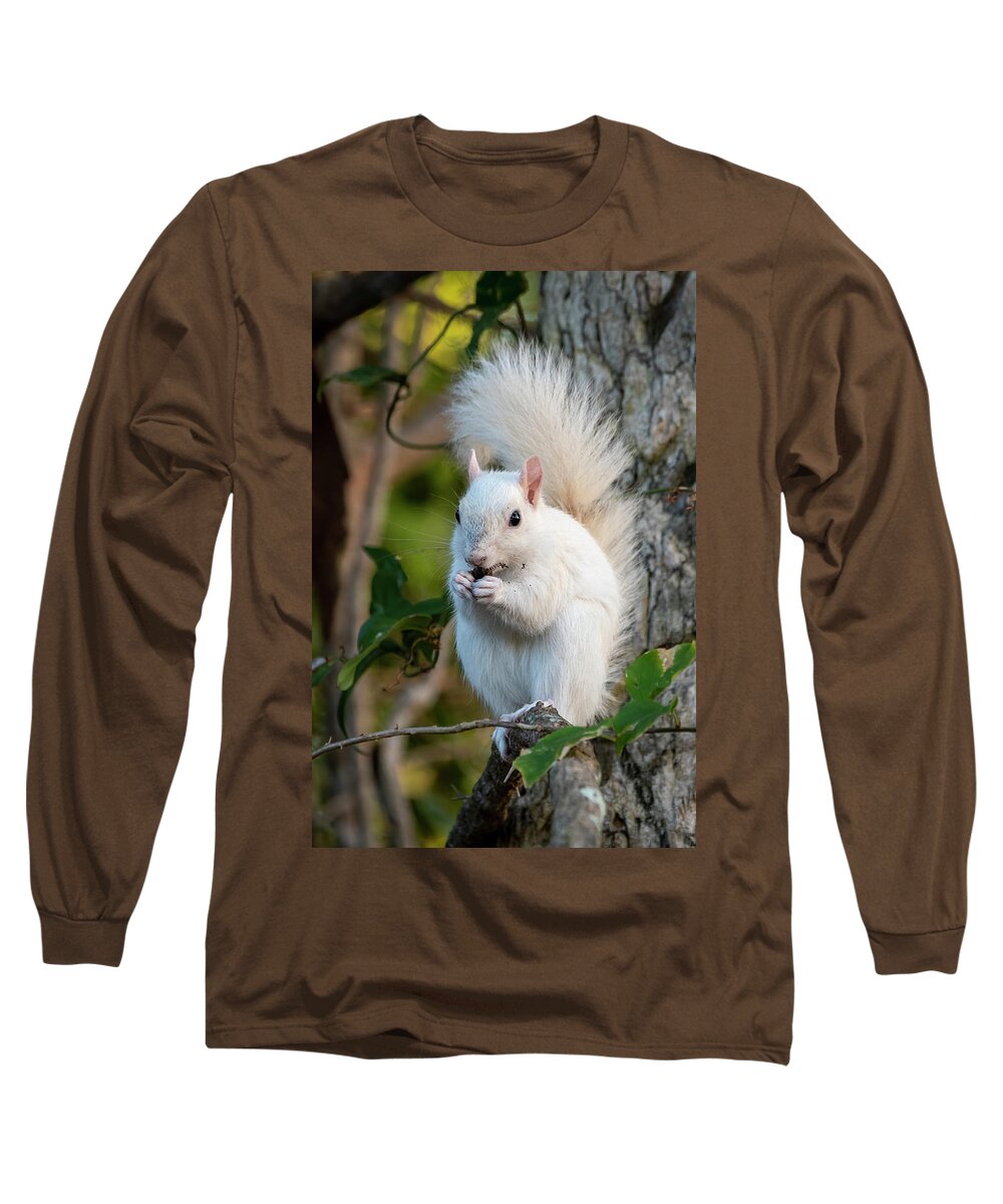 Squirrel Long Sleeve T-Shirt featuring the photograph White Squirrel Eating by Bradford Martin