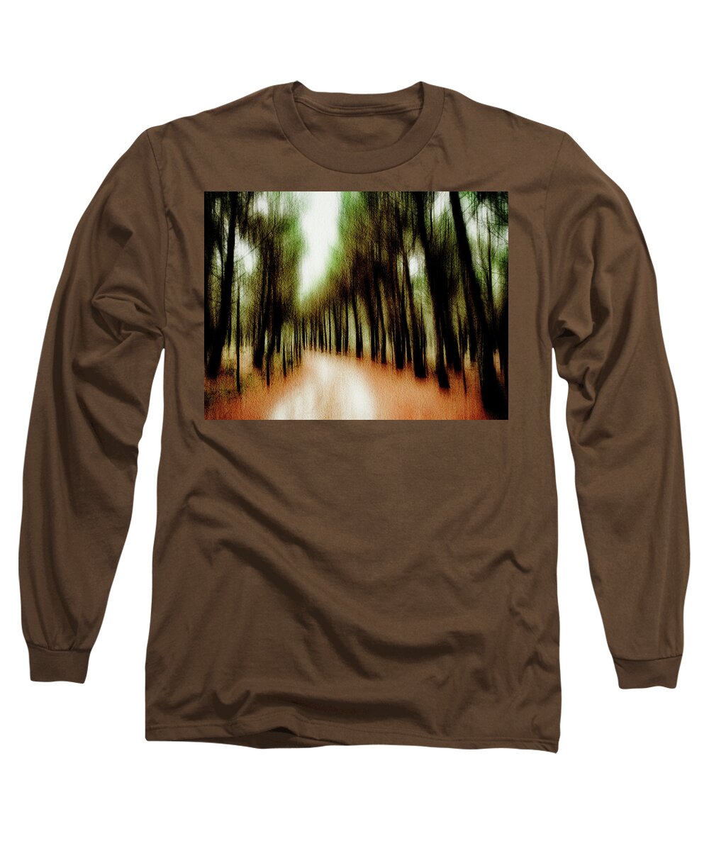 Woodland Long Sleeve T-Shirt featuring the photograph Autumn path 1 by Al Fio Bonina