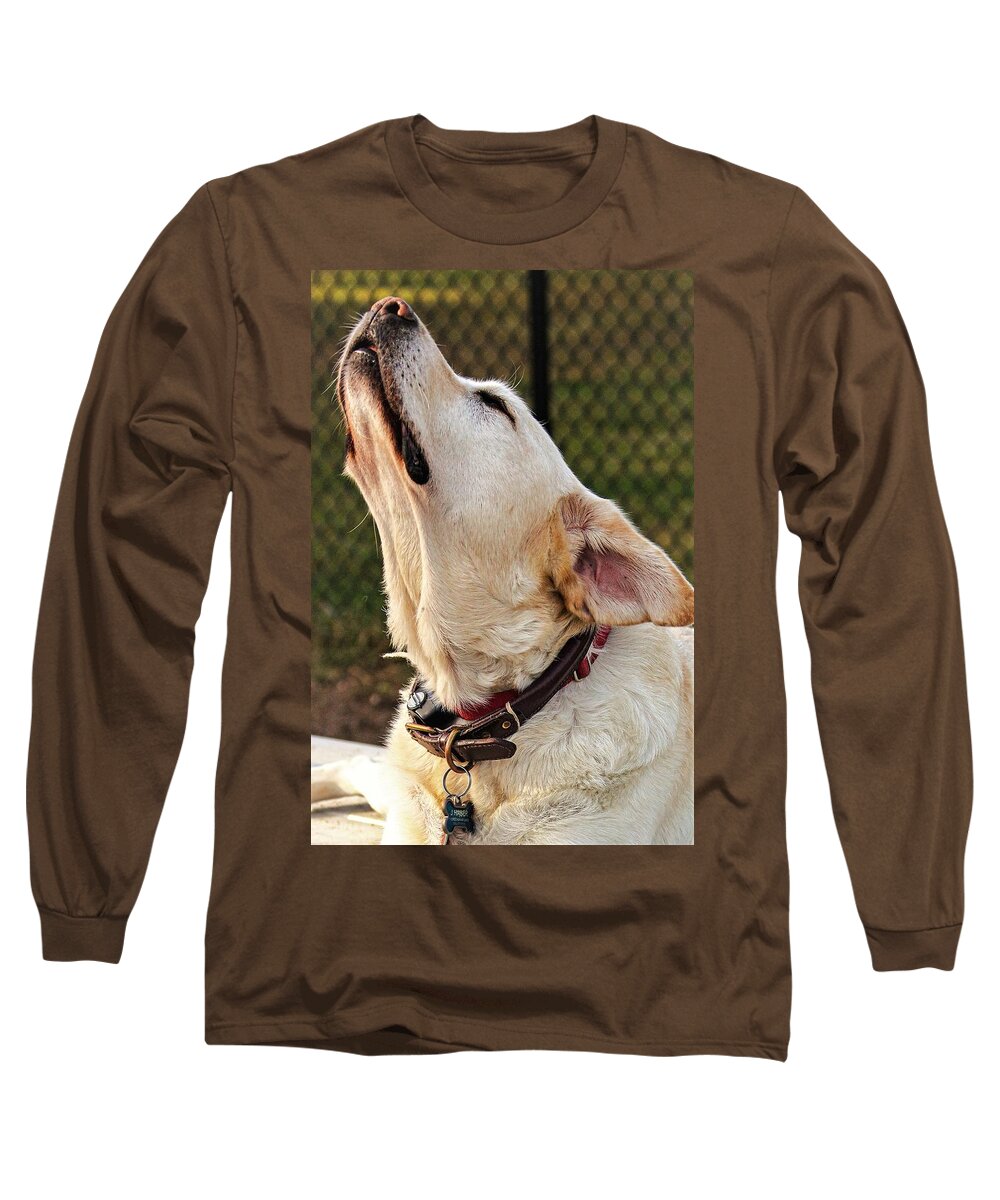 Dog Long Sleeve T-Shirt featuring the photograph Yellow1 by John Linnemeyer
