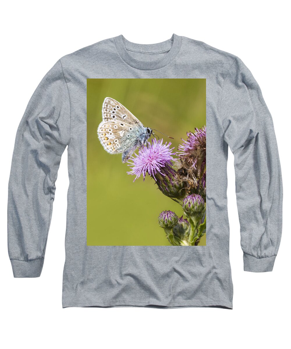 Common Blue Long Sleeve T-Shirt featuring the photograph Blue Butterfly by Chris Smith