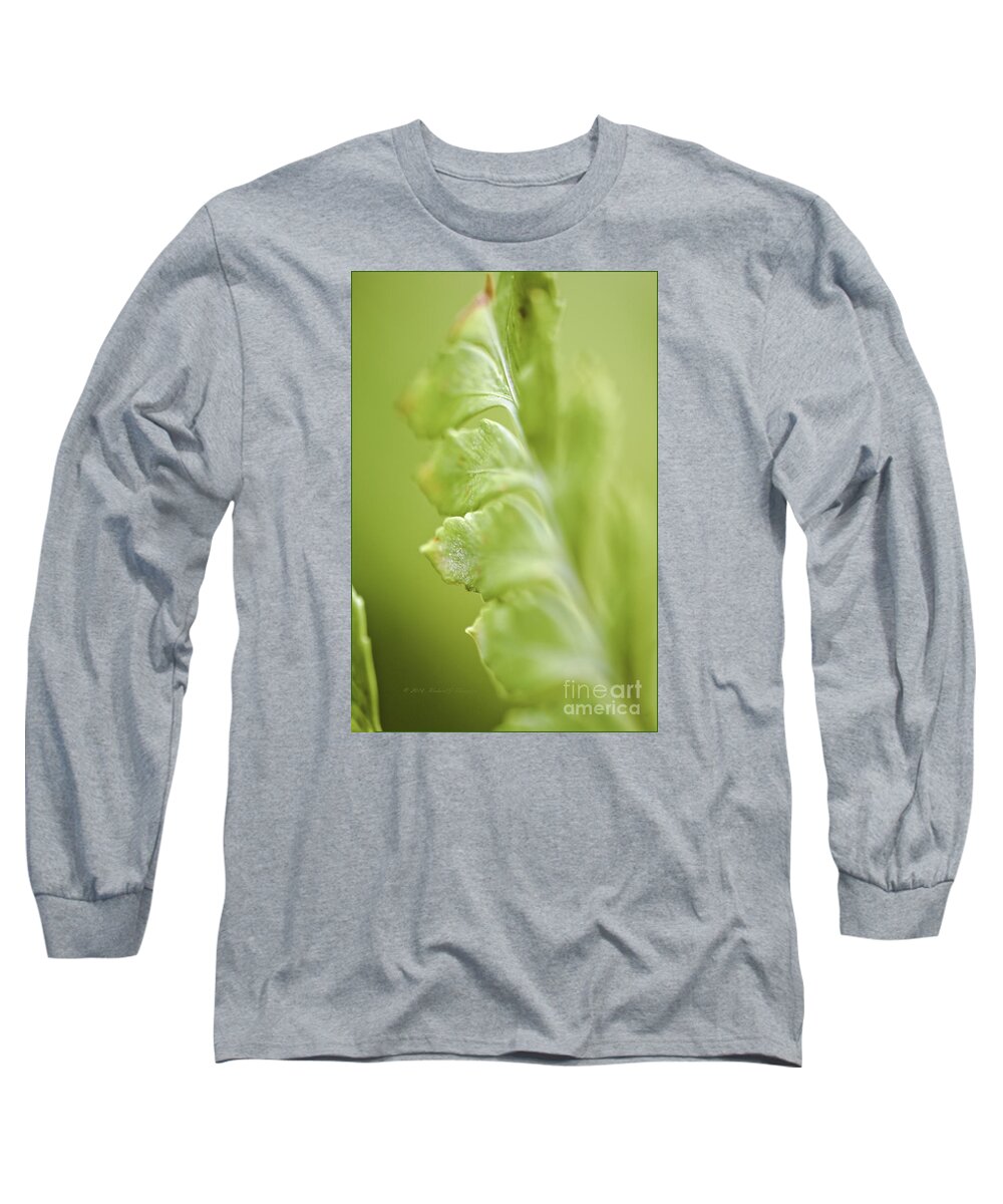 Close-up Long Sleeve T-Shirt featuring the photograph Fern Fronds #1 by Richard J Thompson 