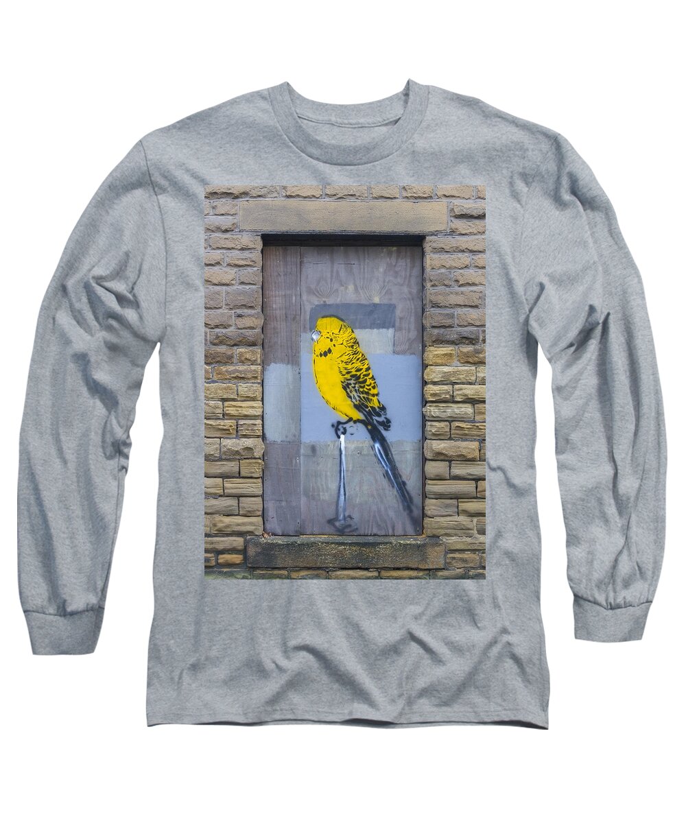 Grunge Long Sleeve T-Shirt featuring the photograph Budgie graffiti #1 by Chris Smith
