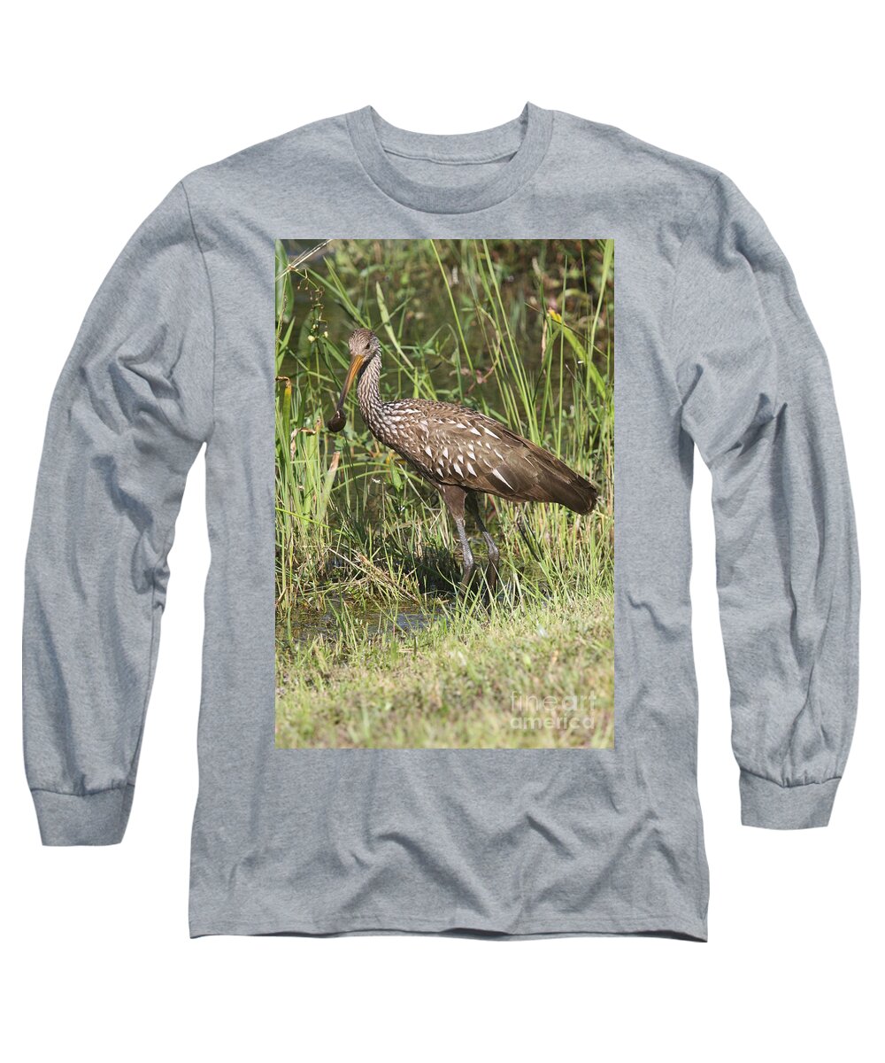 Limpkin Long Sleeve T-Shirt featuring the photograph Limpkin In The Glades by Christiane Schulze Art And Photography