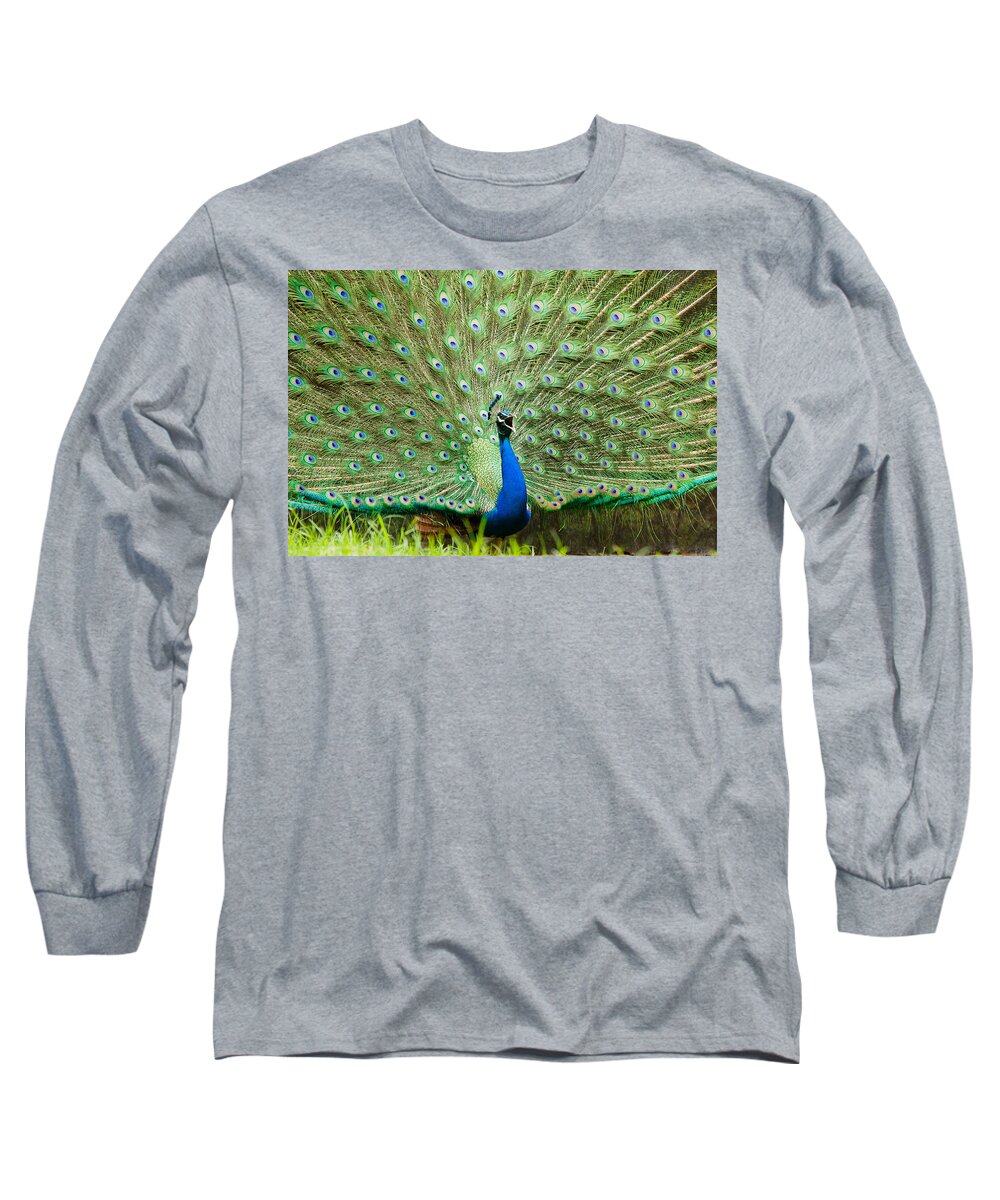 Blue Peafowl Long Sleeve T-Shirt featuring the photograph Peacock by SAURAVphoto Online Store