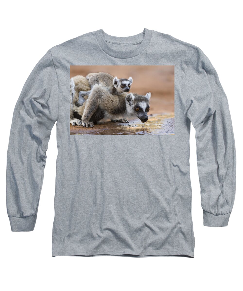 Feb0514 Long Sleeve T-Shirt featuring the photograph Ring-tailed Lemur Mother Drinking #1 by Suzi Eszterhas