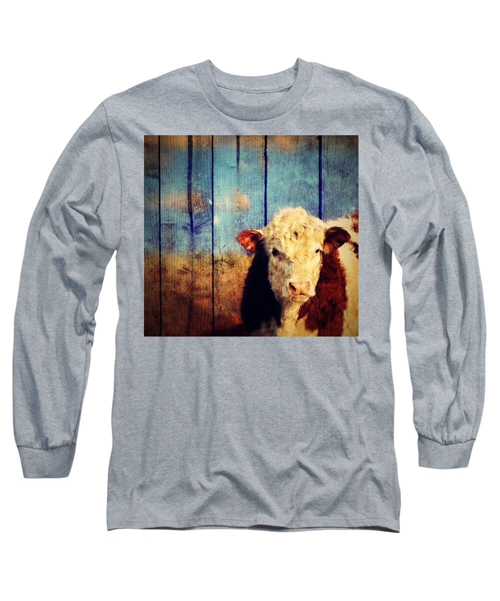 Cow Long Sleeve T-Shirt featuring the photograph Cow by Marysue Ryan