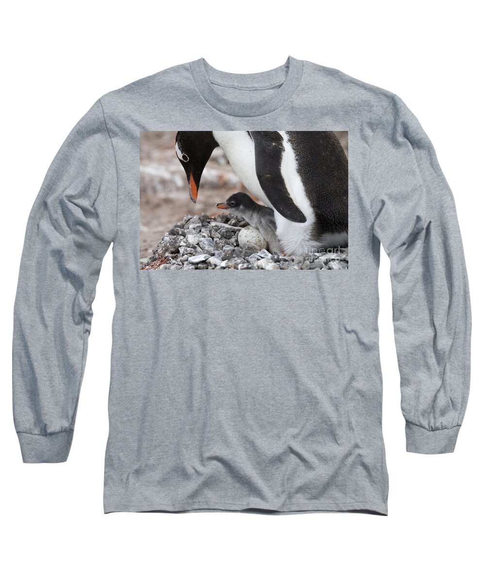 Port Lockroy Long Sleeve T-Shirt featuring the photograph 111130p165 by Arterra Picture Library