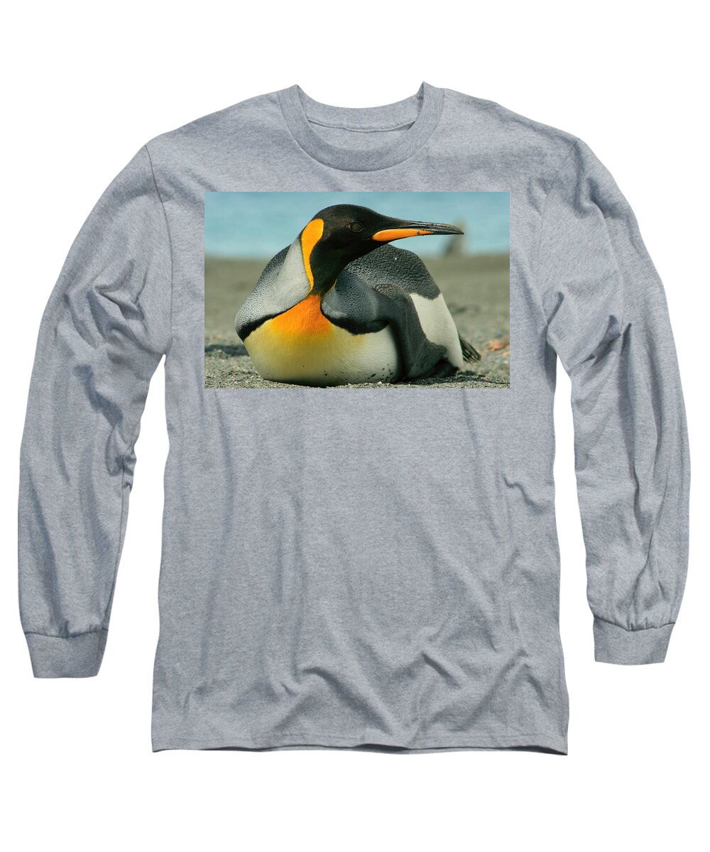 King Penguins Long Sleeve T-Shirt featuring the photograph King Penguin #1 by Amanda Stadther