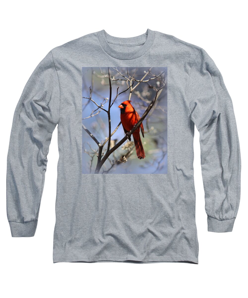 8x10 Long Sleeve T-Shirt featuring the photograph 3477-006- Northern Cardinal by Travis Truelove