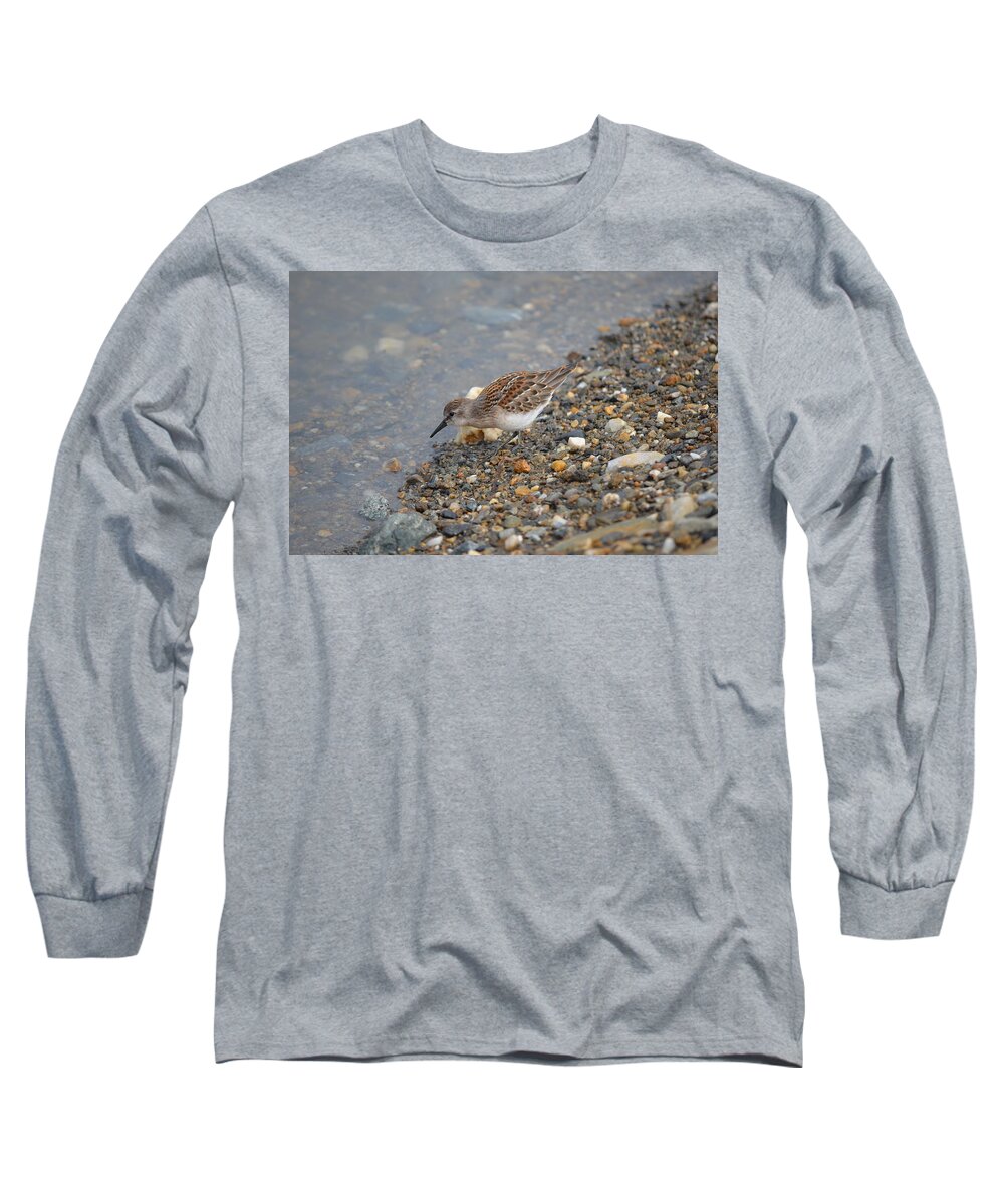 Birds Long Sleeve T-Shirt featuring the photograph Semipalmated Sandpiper #3 by James Petersen