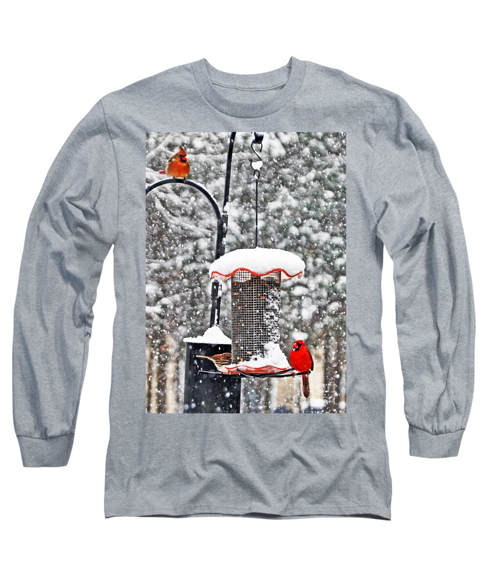 A Cardinal Winter Long Sleeve T-Shirt featuring the photograph A Cardinal Winter by Lydia Holly
