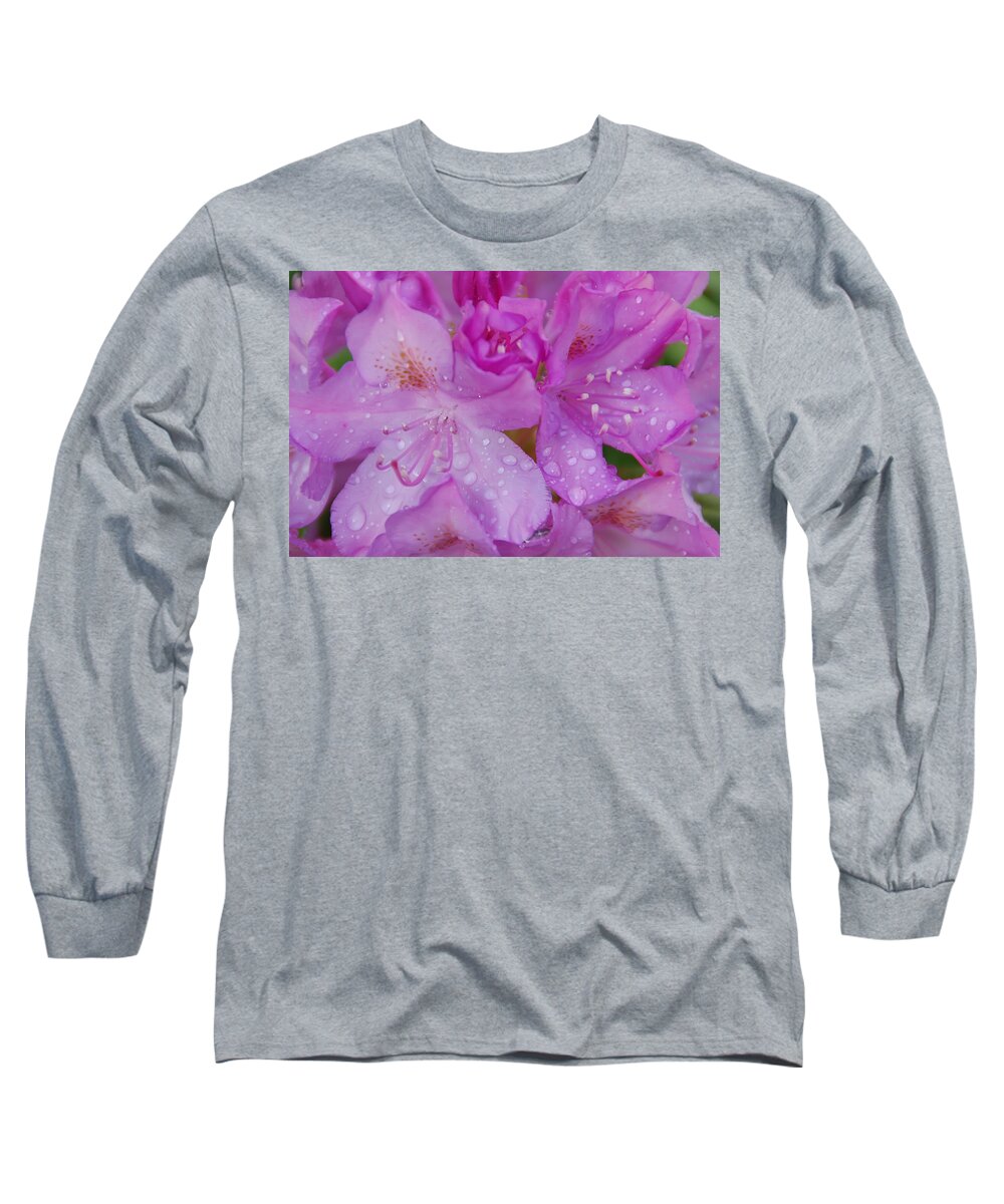 Azalea Long Sleeve T-Shirt featuring the photograph After the Rain by Aimee L Maher ALM GALLERY