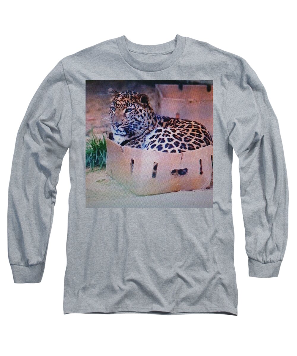 All Long Sleeve T-Shirt featuring the photograph All Cats Love Boxes by Sarah Qua