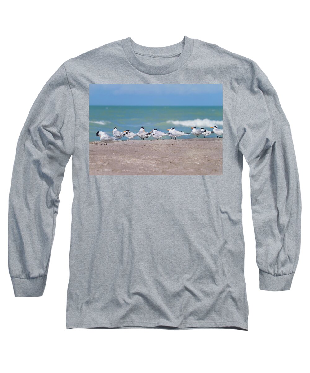 Tern Long Sleeve T-Shirt featuring the photograph All In A Row by Kim Hojnacki