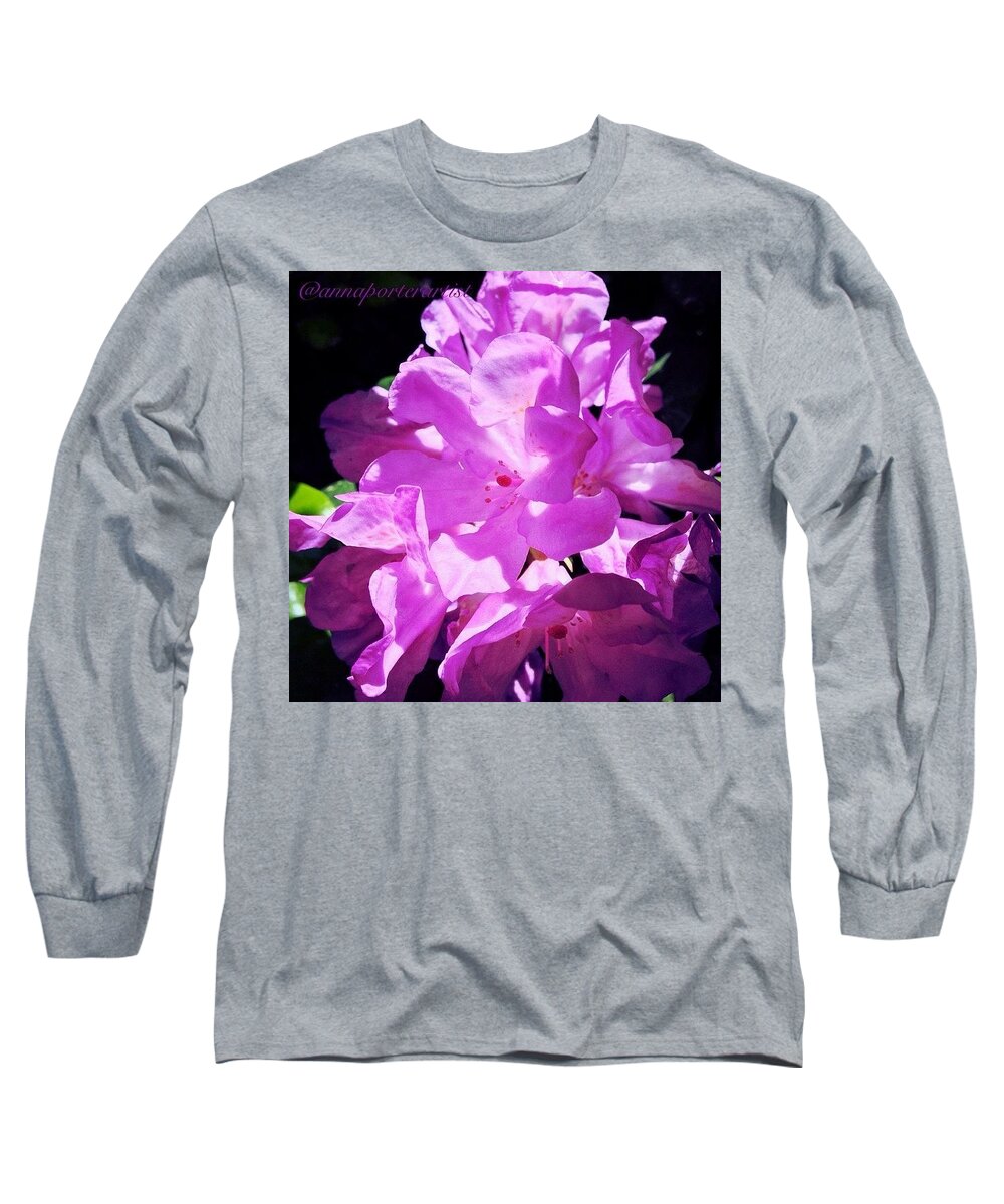 Topfleur Long Sleeve T-Shirt featuring the photograph Beautiful Sunlight On Purple by Anna Porter