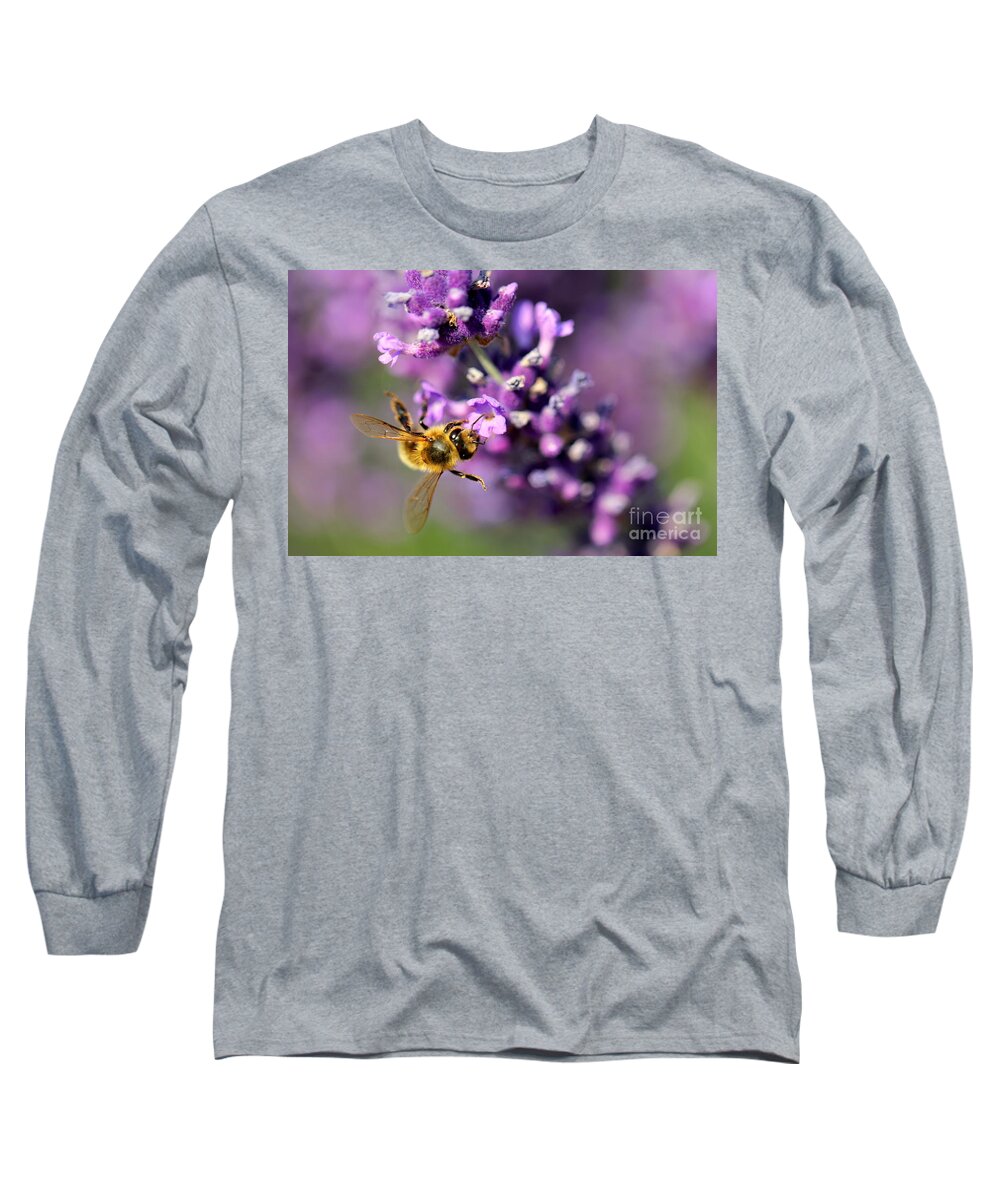 Bee Long Sleeve T-Shirt featuring the photograph Bee on the Lavender Branch by Amanda Mohler
