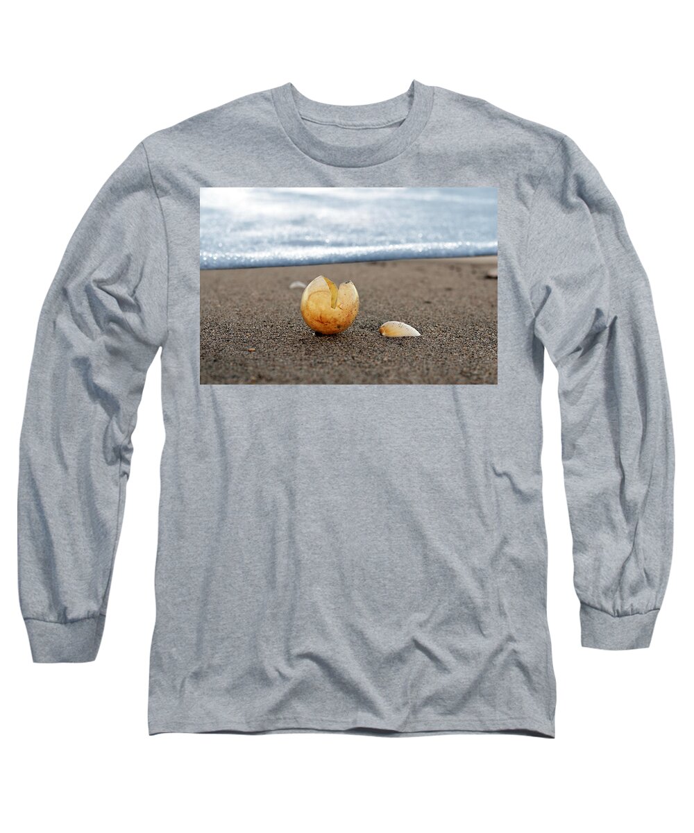 Turtle Long Sleeve T-Shirt featuring the photograph Beginnings by Laura Fasulo