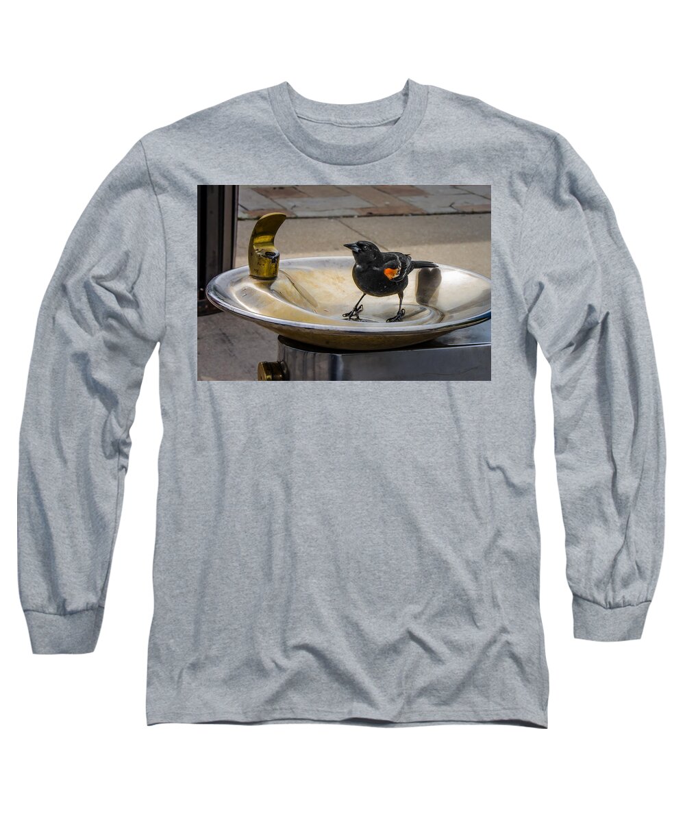Bird Long Sleeve T-Shirt featuring the photograph Bird in a Water Fountain by Tom Gort