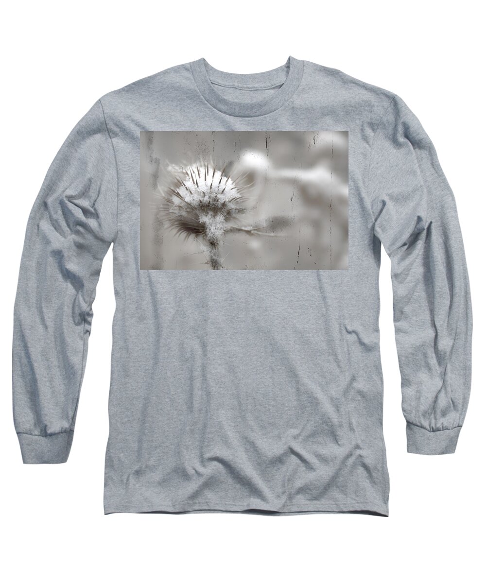 Thorns Long Sleeve T-Shirt featuring the photograph Blanket For Thorns by Mark Ross