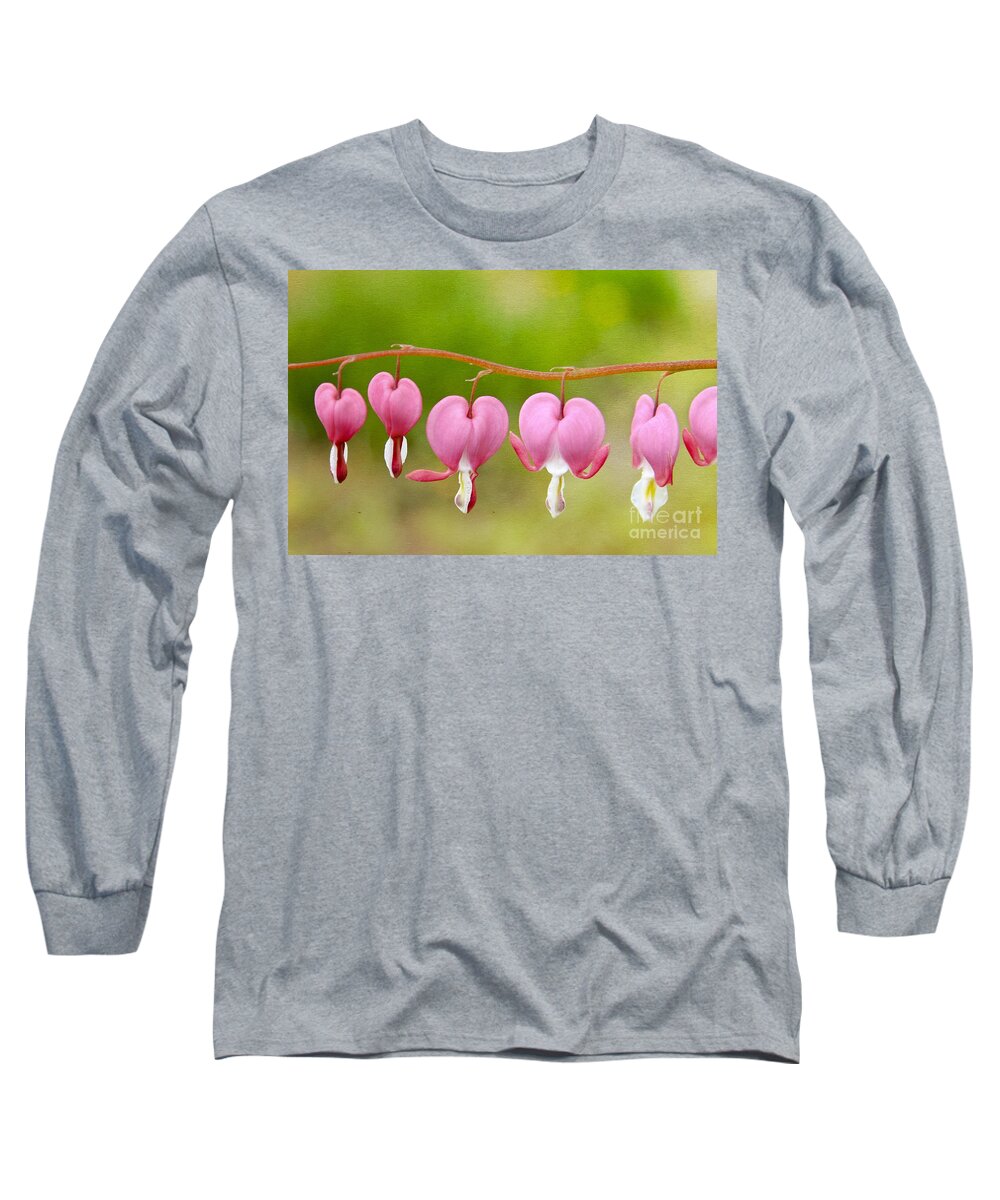 Maine Long Sleeve T-Shirt featuring the photograph Bleeding Hearts by Karin Pinkham