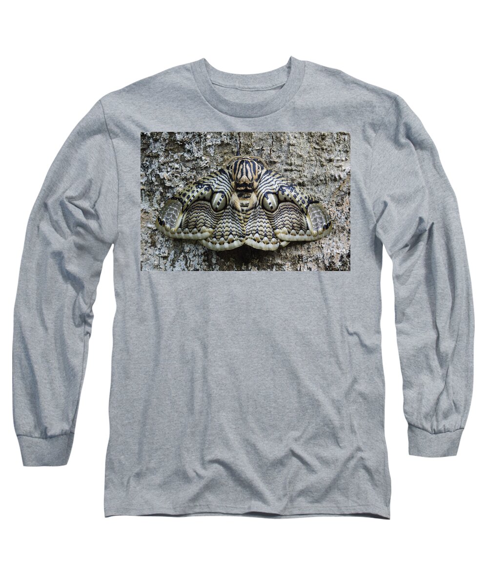 Feb0514 Long Sleeve T-Shirt featuring the photograph Brahmin Moth Camouflaged Philippines by Ch'ien Lee